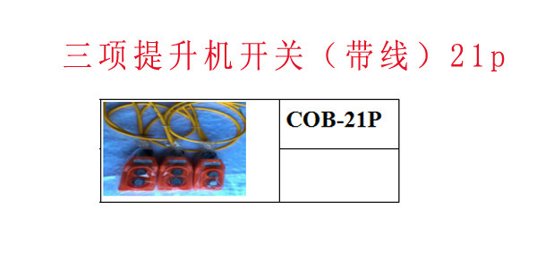 三项提升机开关（带线）