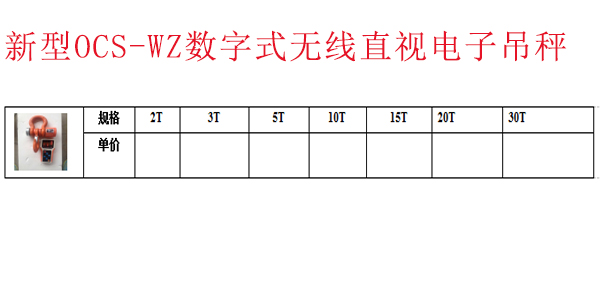 新型OCS-WZ数字式无线