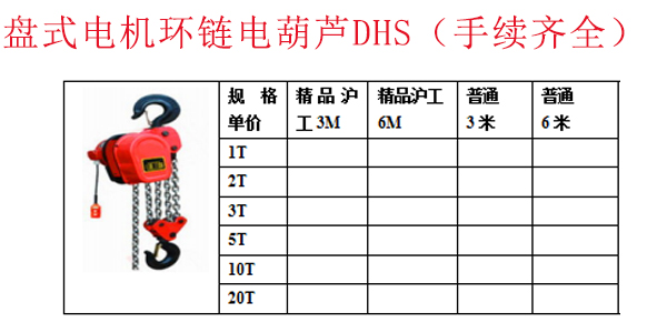 盘式电机环链电葫芦DHS（手续齐全）