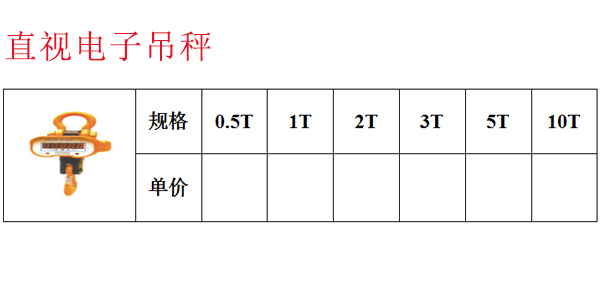 直视电子吊秤