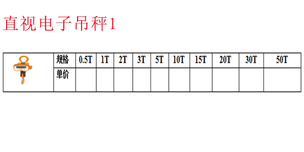 直视电子吊秤1