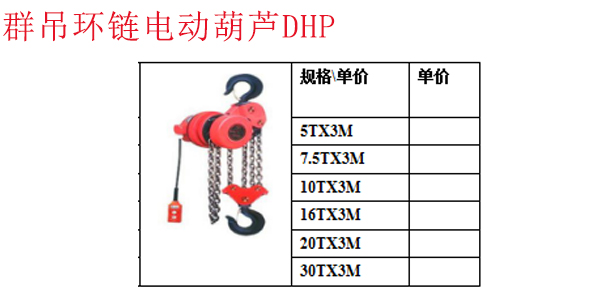 群吊环链电动葫芦DHP